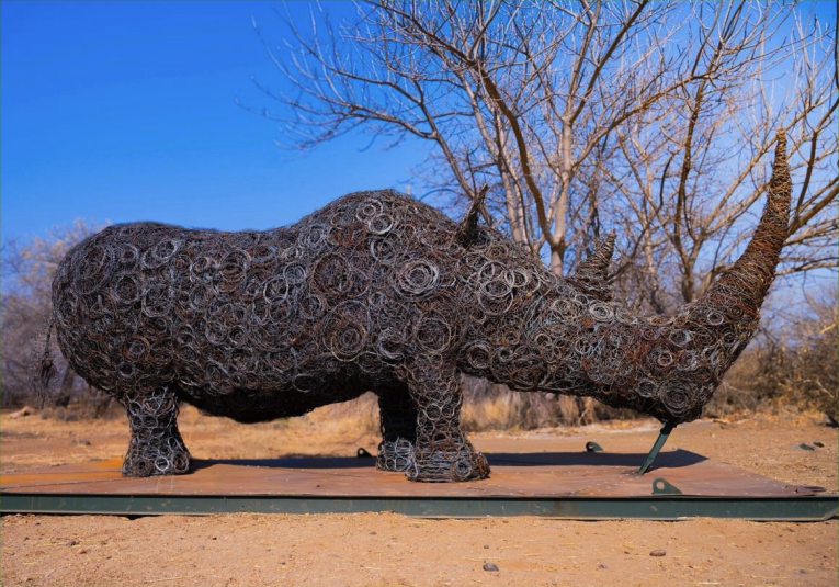 Wire snare sculpture