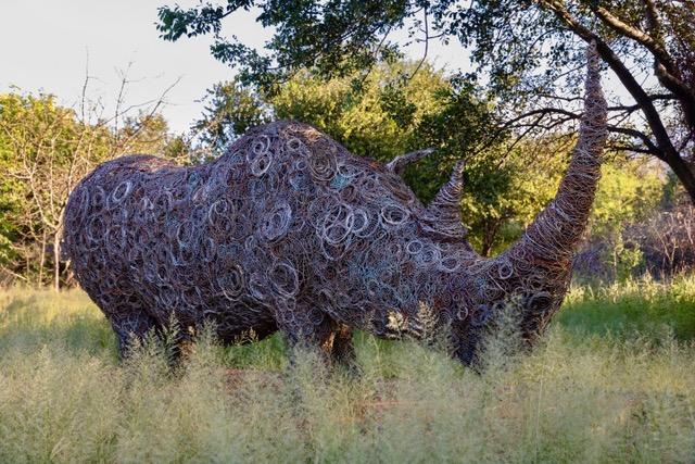 Snare Rhino